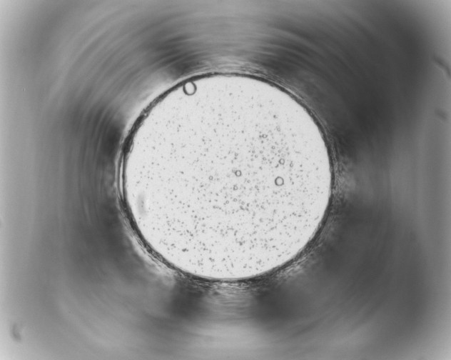 X0000103931128200810031253