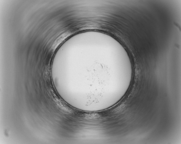 X0000103931129200810031253