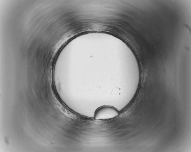 X0000103931130200810031253
