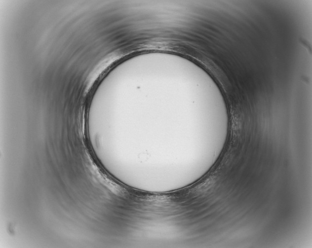 X0000103931131200810031253