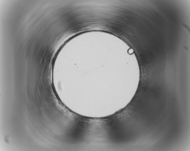 X0000103931132200810031253