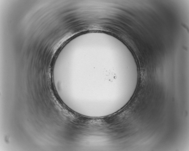 X0000103931133200810031253