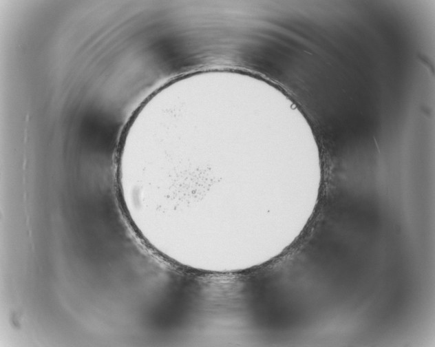X0000103931134200810031253