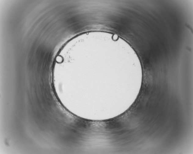X0000103931136200810031253