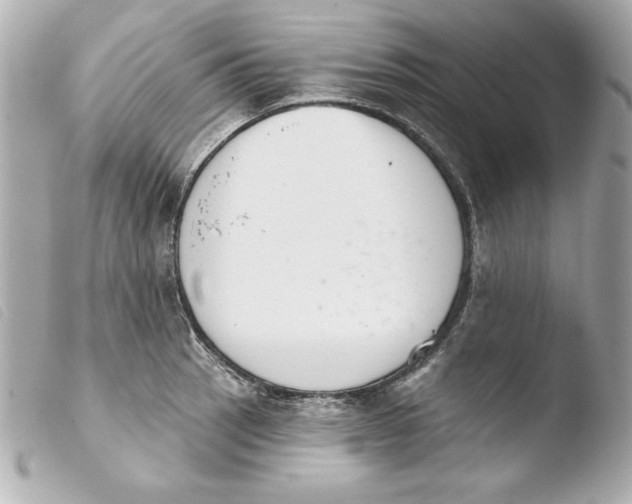 X0000103931137200810031253