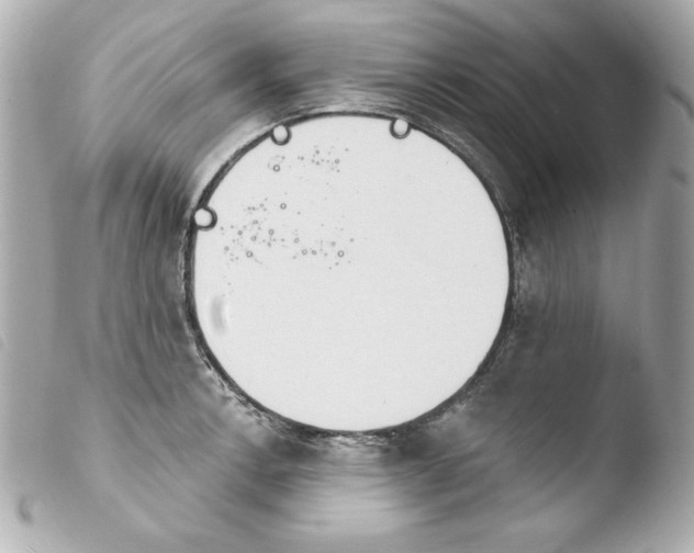 X0000103931138200810031253