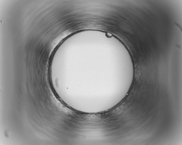 X0000103931139200810031253