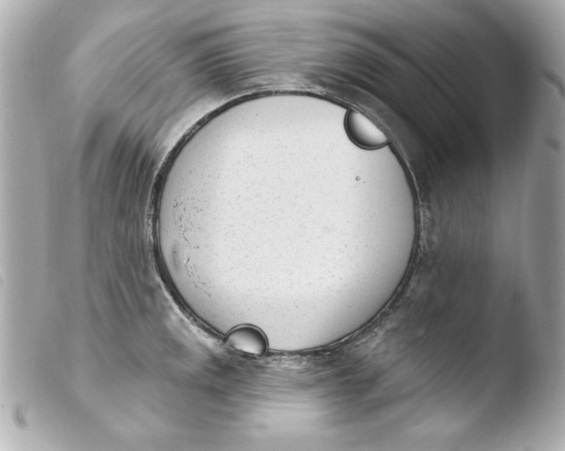 X0000103931141200810031253