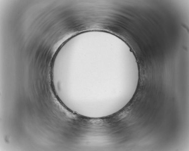 X0000103931142200810031253
