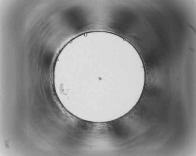 X0000103931144200810031253