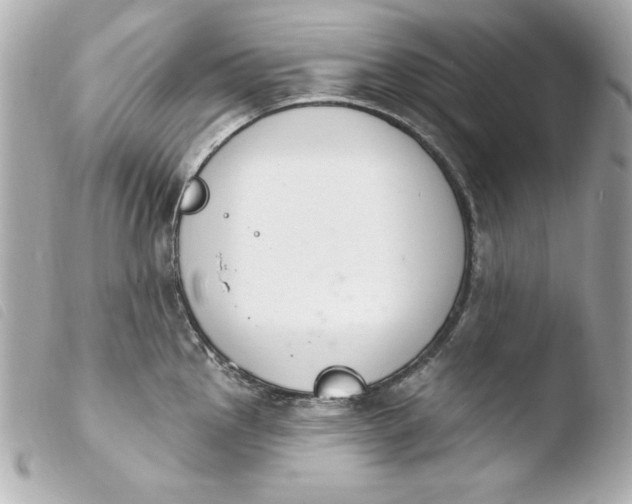 X0000103931145200810031253