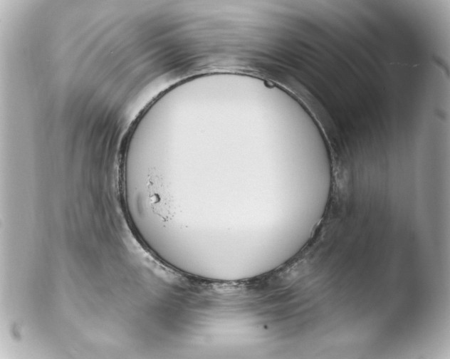 X0000103931147200810031253
