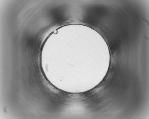 X0000103931149200810031253