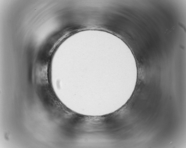 X0000103931150200810031253