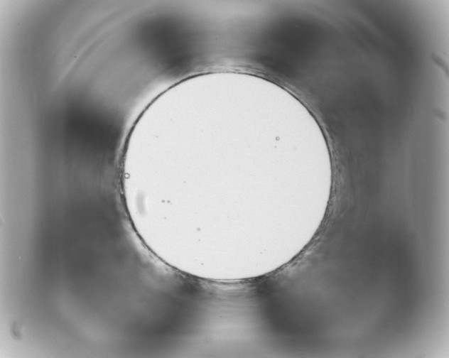 X0000103931152200810031253