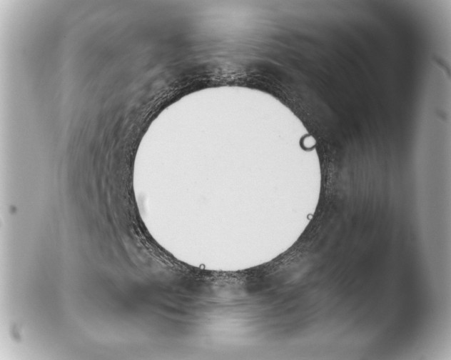 X0000103931153200810031252