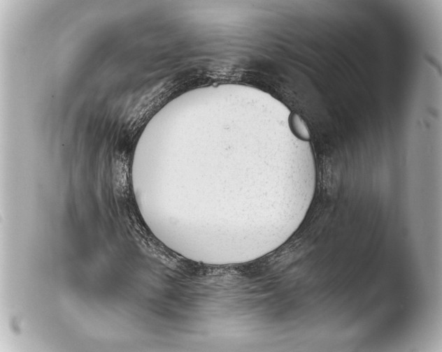 X0000103931154200810031252