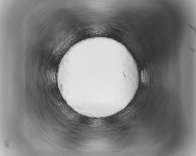 X0000103931155200810031252