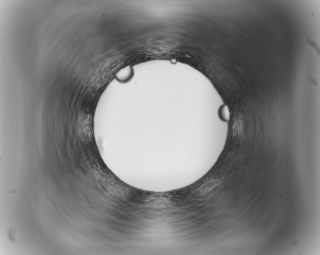 X0000103931156200810031252