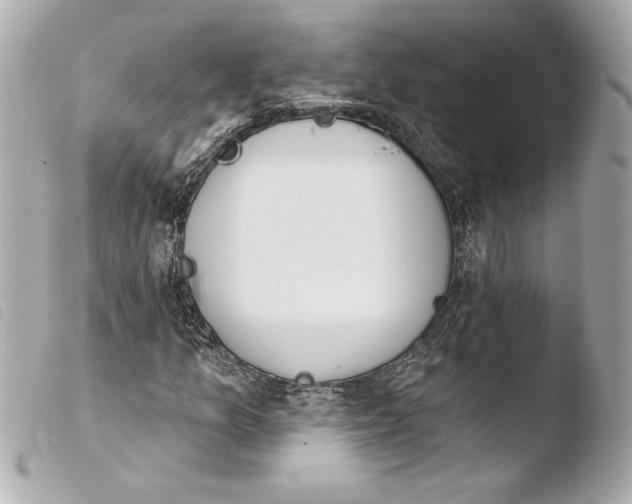 X0000103931157200810031252