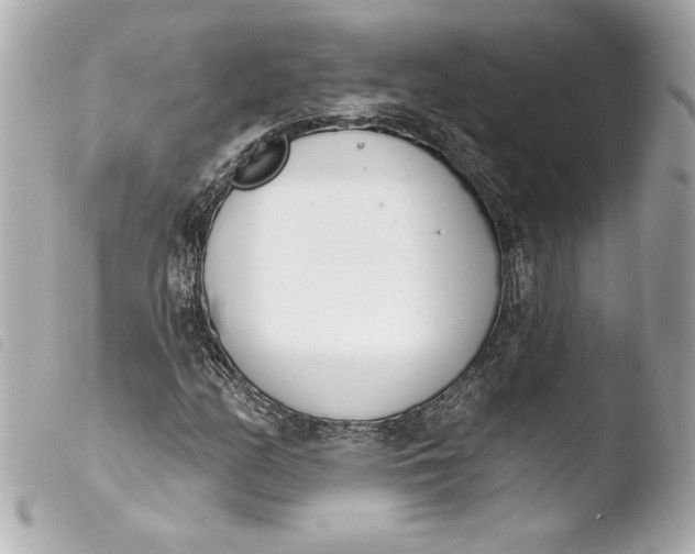 X0000103931158200810031252