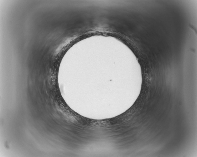 X0000103931159200810031252