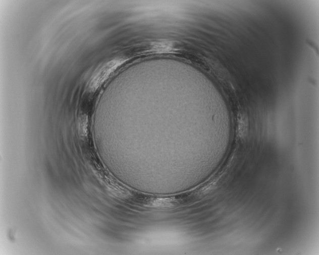 X0000103931161200810031252