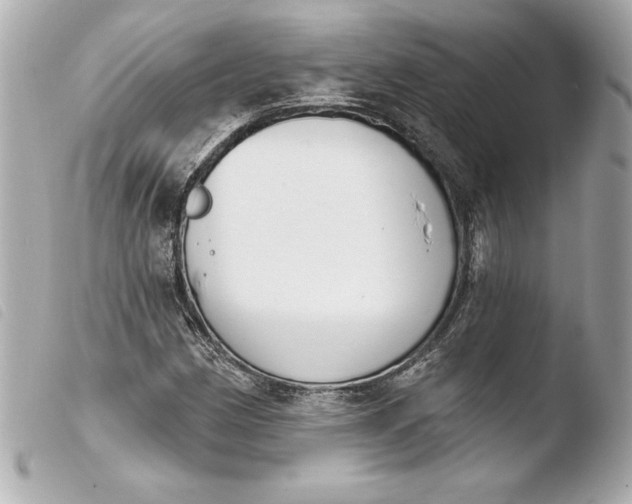 X0000103931162200810031252