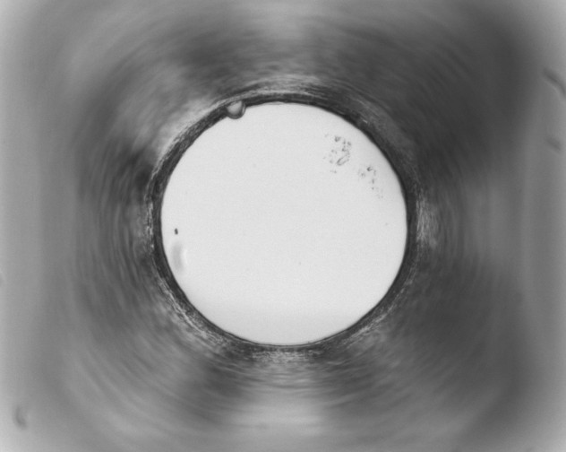 X0000103931164200810031252