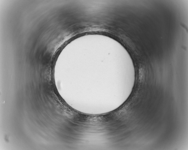 X0000103931165200810031252