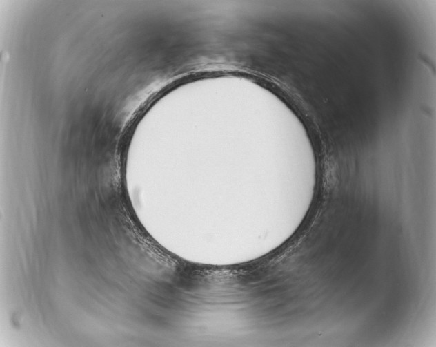 X0000103931167200810031252