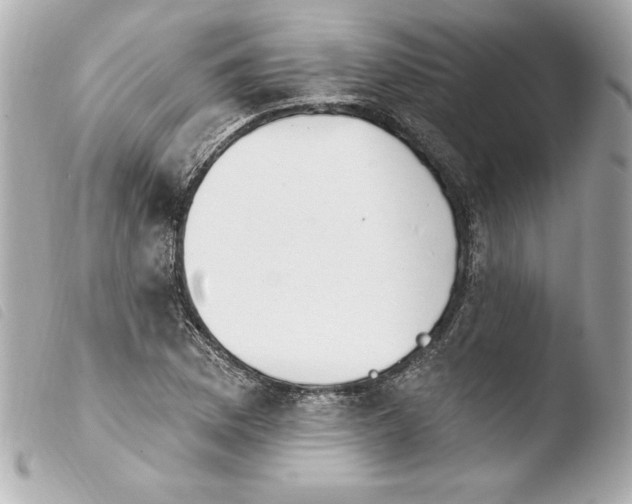 X0000103931169200810031252