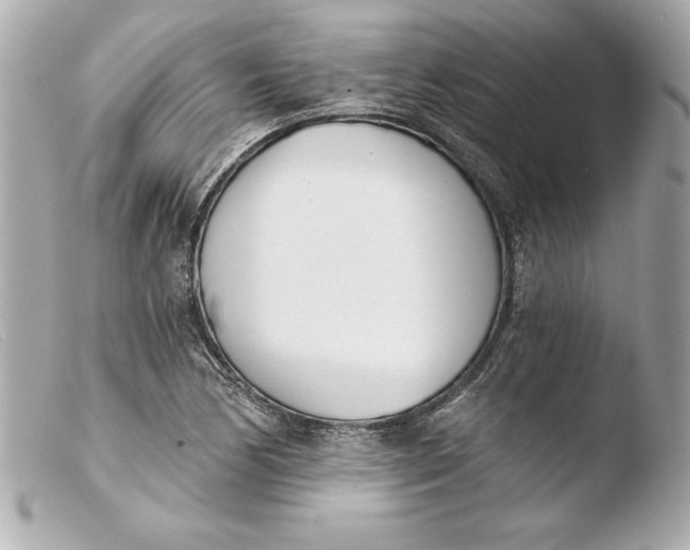 X0000103931170200810031252