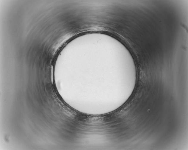 X0000103931171200810031252