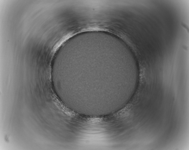 X0000103931173200810031252