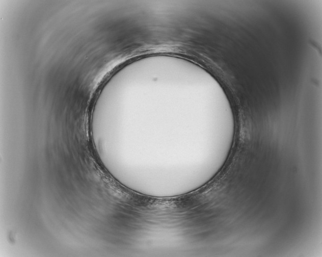 X0000103931174200810031252