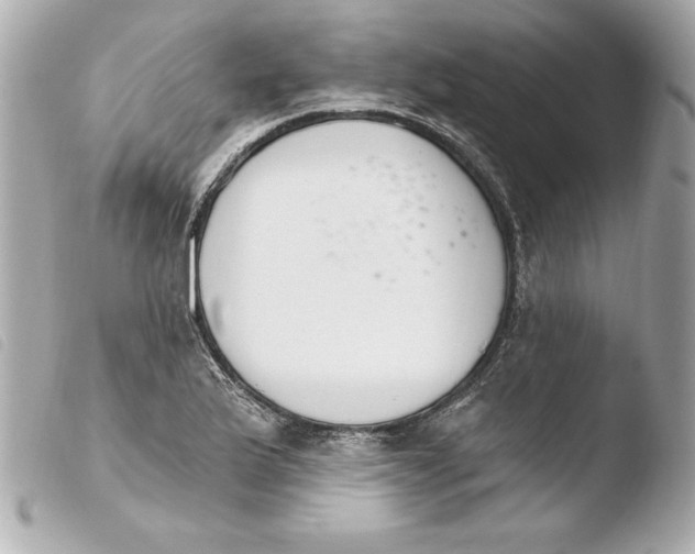 X0000103931175200810031252