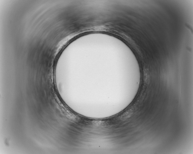 X0000103931176200810031252