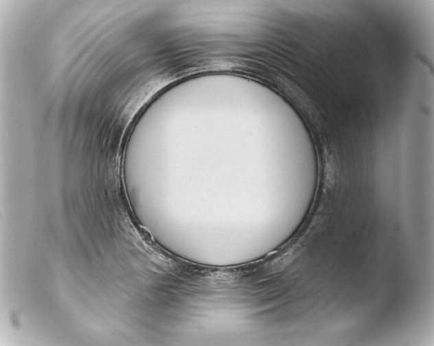 X0000103931178200810031252