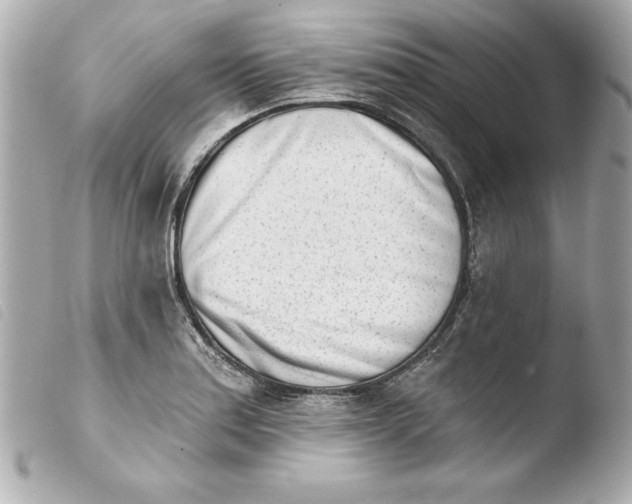 X0000103931179200810031252