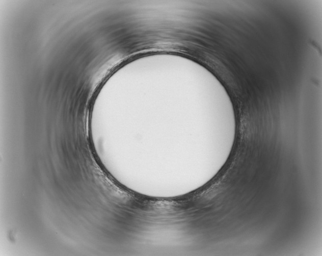 X0000103931180200810031252