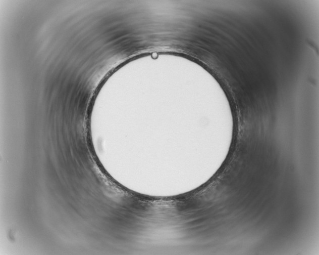 X0000103931181200810031252
