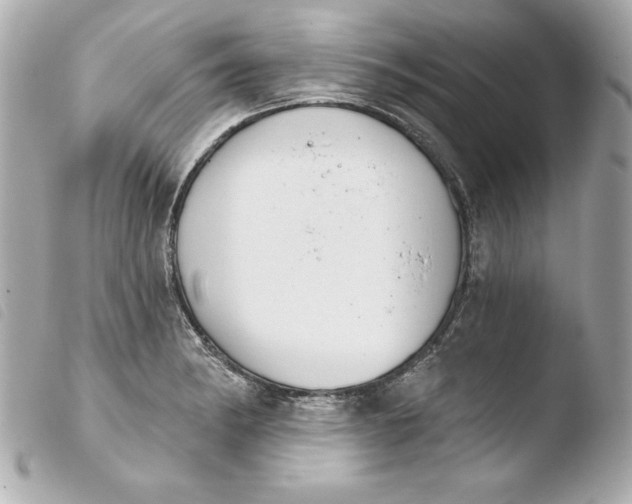 X0000103931182200810031252
