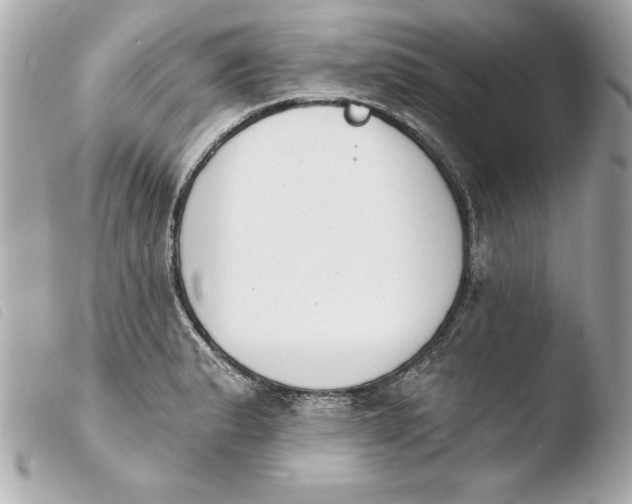X0000103931183200810031252
