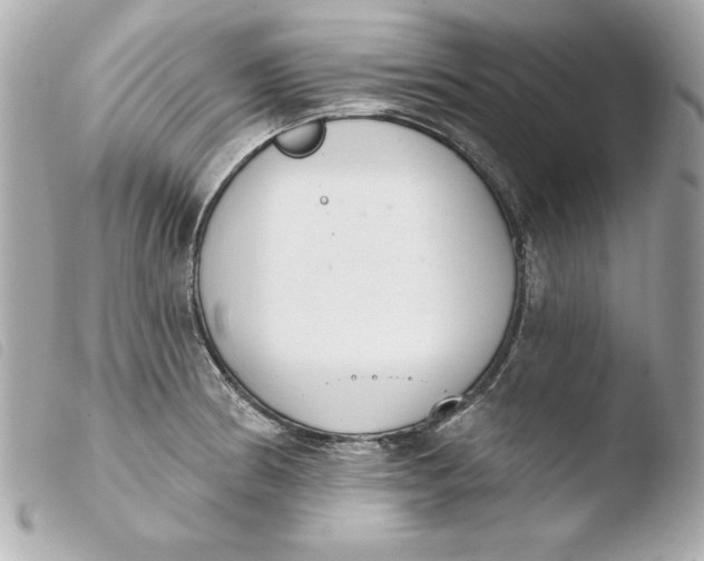 X0000103931186200810031252