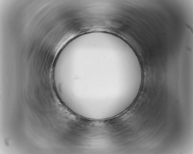 X0000103931190200810031252