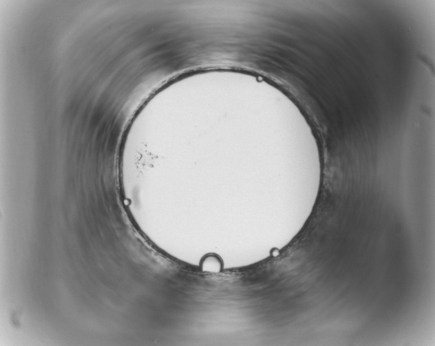 X0000103931191200810031252