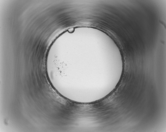 X0000103931192200810031252