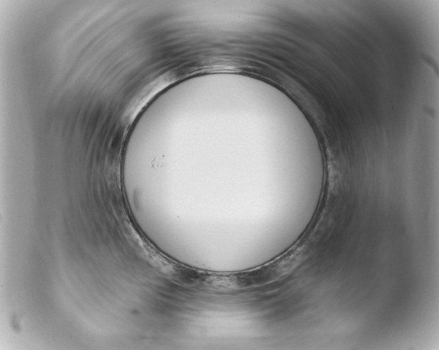 X0000103931194200810031252