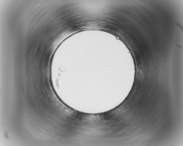 X0000103931195200810031252